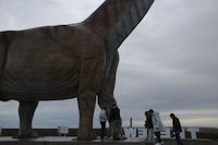 img326