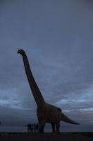 img328