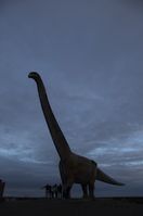 img329