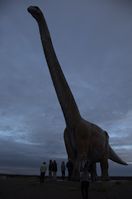 img330